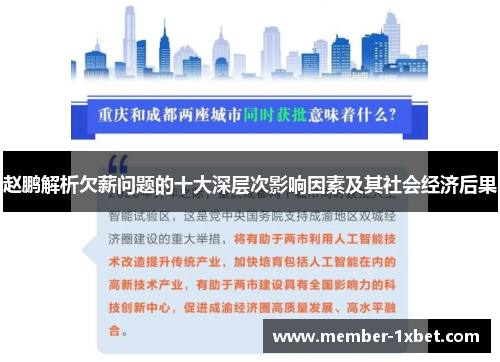 赵鹏解析欠薪问题的十大深层次影响因素及其社会经济后果